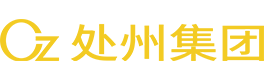 处州集团 